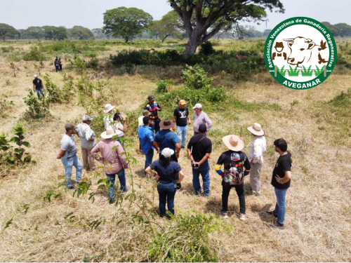 Imagen del productor 1